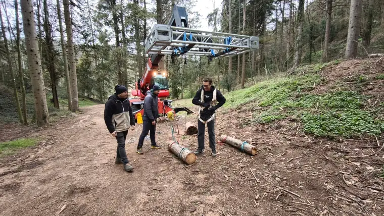 Trabajos especiales: tala y rigging en altura